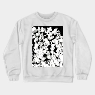 Popcorn Crewneck Sweatshirt